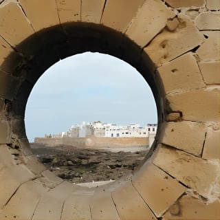Depuis Marrakech : Excursion d'une journée à Essaouira 7