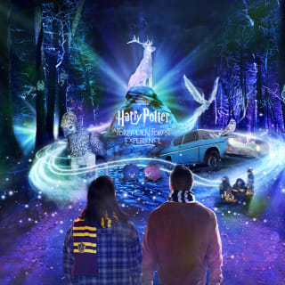 Harry Potter: A Forbidden Forest Experience 1