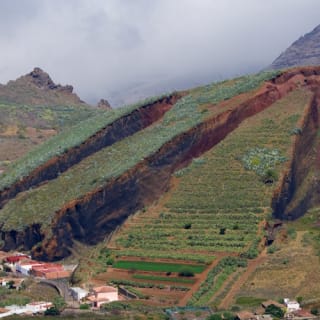 Masca y Teno: Visita guiada en grupo reducido + Traslado + Degustación 5