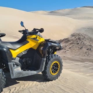 Sandboard and Quad Bike Adventure in Lancelin 9