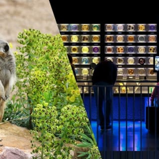 ARTIS Amsterdam Royal Zoo & Micropia: Eintrittskarte ohne Warteschlange 4
