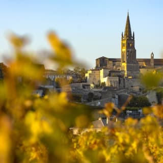 Demi-Journée in der Weinkellerei in Saint-Émilion, gestartet in Bordeaux 4