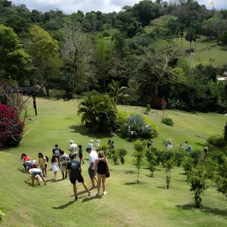 Puerto Rico Coffee Plantation & Waterfall River Tour 3