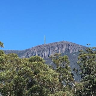 Easy Bike Tour - Mt Wellington Summit Descent & Rainforest Ride 4