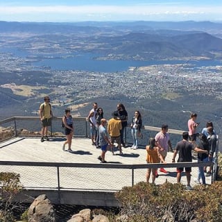 Easy Bike Tour - Mt Wellington Summit Descent & Rainforest Ride 5