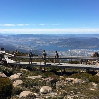 Easy Bike Tour - Mt Wellington Summit Descent & Rainforest Ride 6
