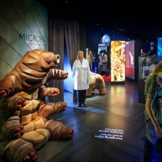 ARTIS Amsterdam Royal Zoo & Micropia: Eintrittskarte ohne Warteschlange 6