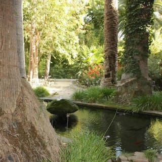 Jardines de Alfabia 6