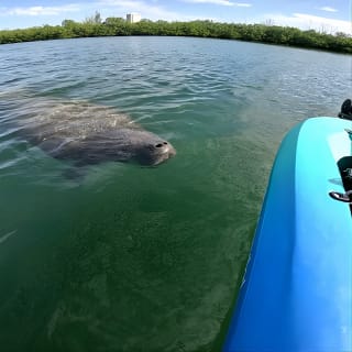 Lido Key Pedal Kayak Tour a Sarasota 1