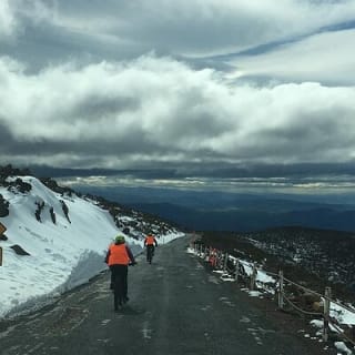 Easy Bike Tour - Mt Wellington Summit Descent & Rainforest Ride 7