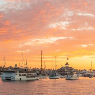Newport Beach: crociere per balene e delfini tutto l'anno 5
