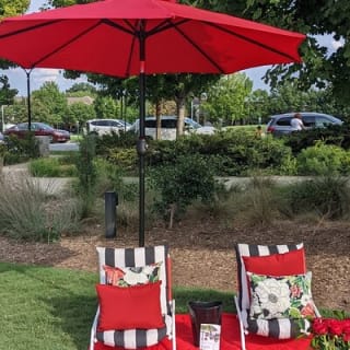 Experiencia privada de picnic en la Ciudad Reina 10