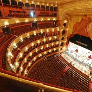 Museo MALBA y Teatro Colón + Tour a pie 1