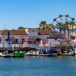 Newport Beach: crociere per balene e delfini tutto l'anno 6