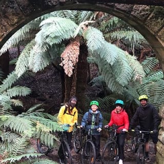 Easy Bike Tour - Mt Wellington Summit Descent & Rainforest Ride 8