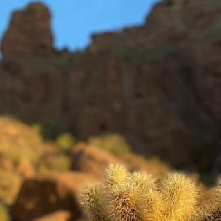 Epic Camelback Mountain Guided Hiking Adventure in Phoenix, Arizona 15