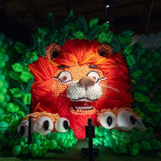 Balloon Story - Sydney 8