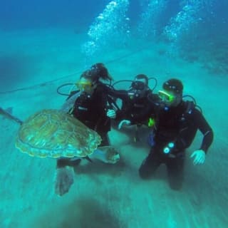 Los Cristianos: Clase guiada de buceo 4