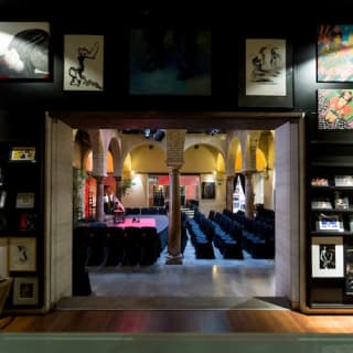 Museo del Baile Flamenco 14