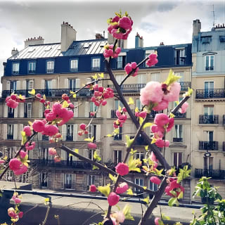 Visite privée à pied des marchés de la Bastille et d'Aligre avec la highline 7