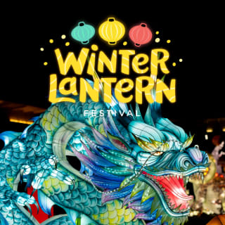 Winter Lantern Festival (Williamsburg, VA) 2