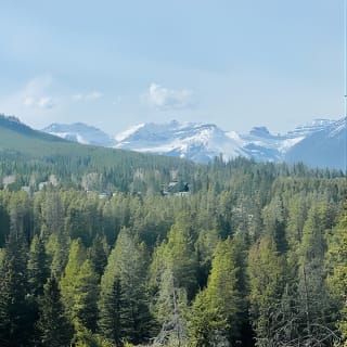 Desde Calgary: explora el lago Moraine, el lago Louise y Banff. 14