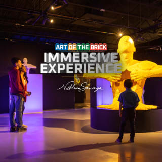 The Art of the Brick Immersive Experience 1