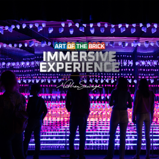 The Art of the Brick Immersive Experience 2
