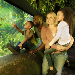 SEA LIFE London Aquarium & London Dungeon 5