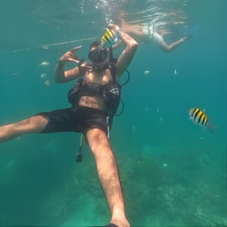 Bajo un mar de aventuras, inmersiones inolvidables. 36
