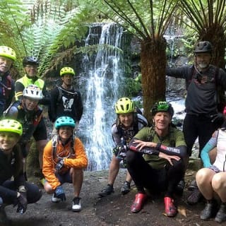 Easy Bike Tour - Mt Wellington Summit Descent & Rainforest Ride 16