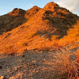 Amazing 2-Hour Guided Hiking Adventure in the Sonoran Desert 4
