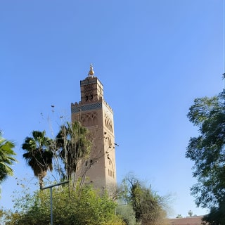 Visite historique avec guide local à Marrakech 14