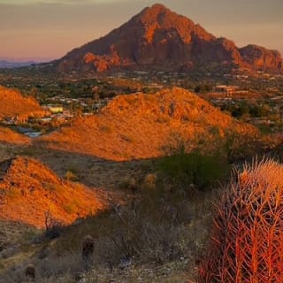 Amazing 2-Hour Guided Hiking Adventure in the Sonoran Desert 5