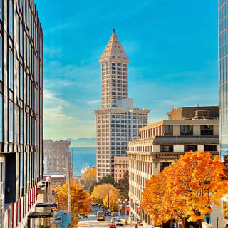 Smith Tower Straight Up Observatory Access Ticket 1
