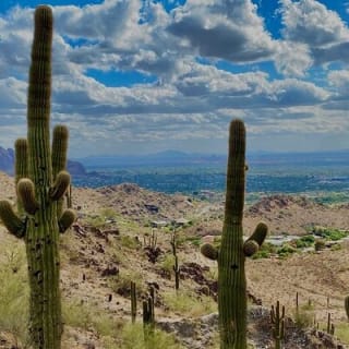Amazing 2-Hour Guided Hiking Adventure in the Sonoran Desert 6