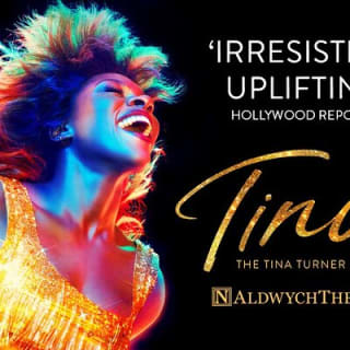 Entradas para el espectáculo teatral de Tina Turner 1