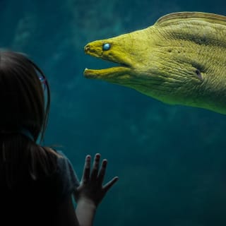 Acuario de Florida: Entrada 8