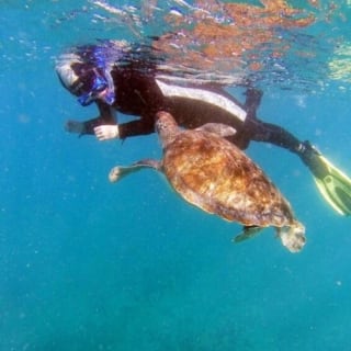 Tenerife: Excursión guiada de Kayak y Snorkel 2