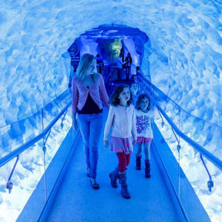 SEA LIFE Kelly Tarlton's Aquarium 5