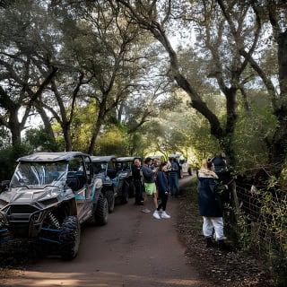 Offroad- und Onroad-Tour mit 2- und 4-Sitzer-Buggys auf Mallorca 11