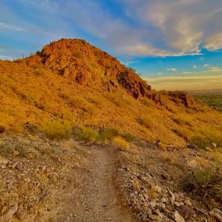 Amazing 2-Hour Guided Hiking Adventure in the Sonoran Desert 8