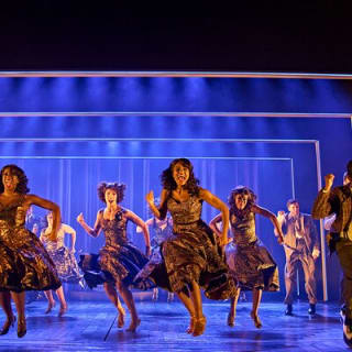 Entradas para el espectáculo teatral de Tina Turner 4