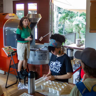 Puerto Rico Coffee Plantation & Waterfall River Tour 4