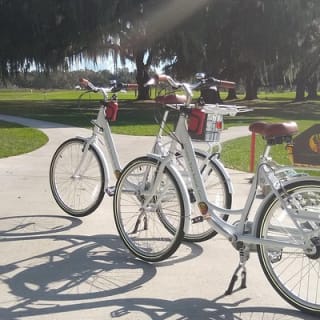 Village Bicycle Rental Livraison gratuite à The Villages, Floride 2
