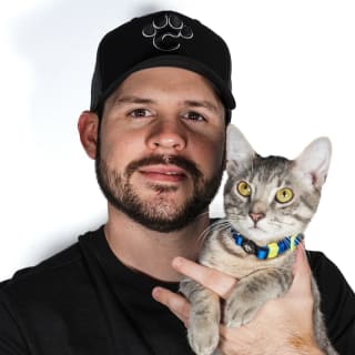 PETFEST 4
