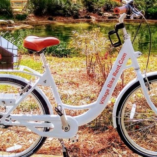 Village Bicycle Rental Livraison gratuite à The Villages, Floride 3