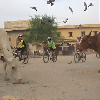 3-Hour Morning Bike Tour of Jaipur 3