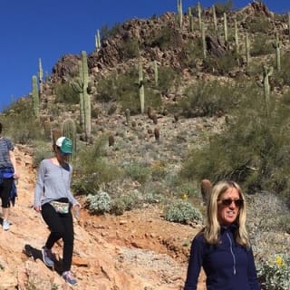 Amazing 2-Hour Guided Hiking Adventure in the Sonoran Desert 13