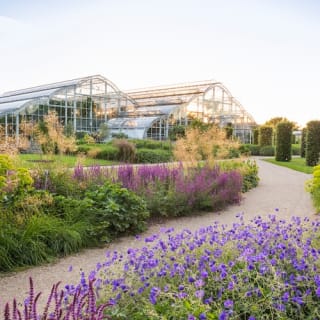 Visite du jardin RHS Wisley 2